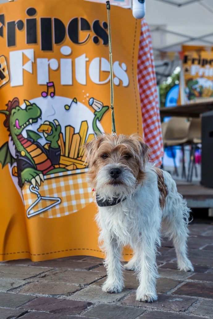 Événement organisés par Les Vitrines de Metz - Fripes &amp; Frites, centre-ville de Metz
